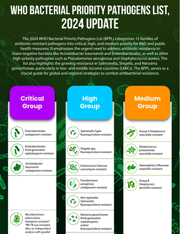 WHO Bacterial Priority Pathogens List, 2024 Update